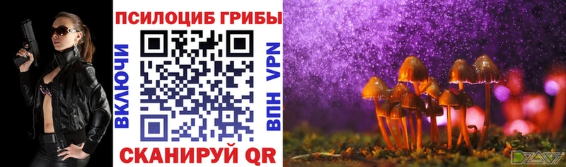 Галлюциногенные грибы Psilocybe  Краснотурьинск 